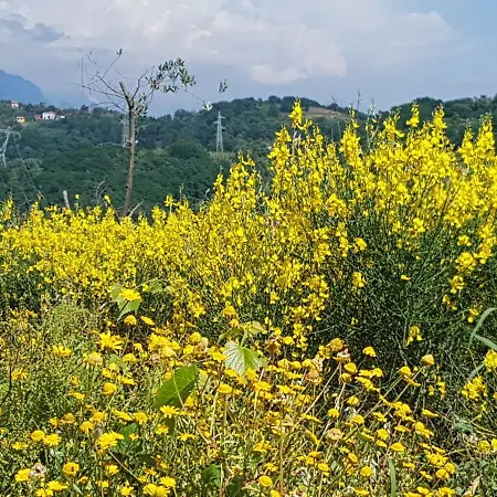 Incanto Ligure Apartamento *