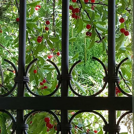 Apartamento Incanto Ligure *